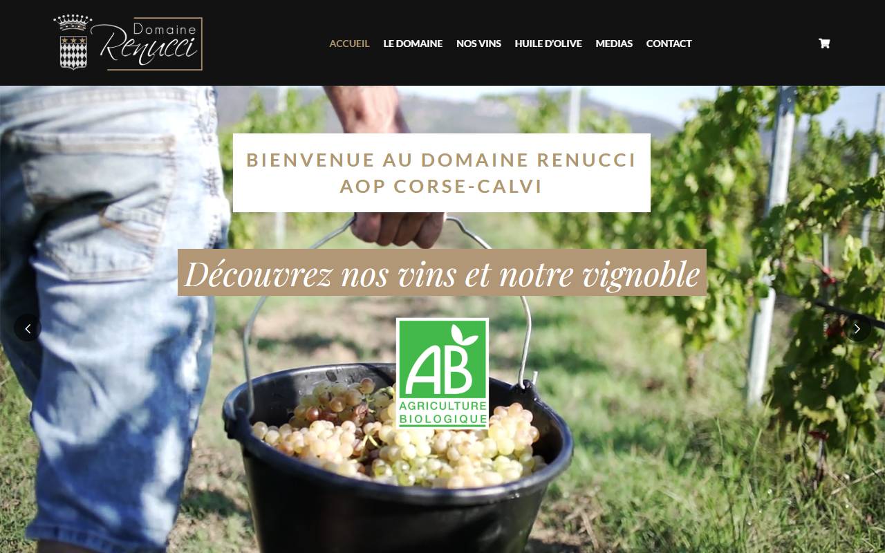 Site Domaine Renucci — vue ordinateur