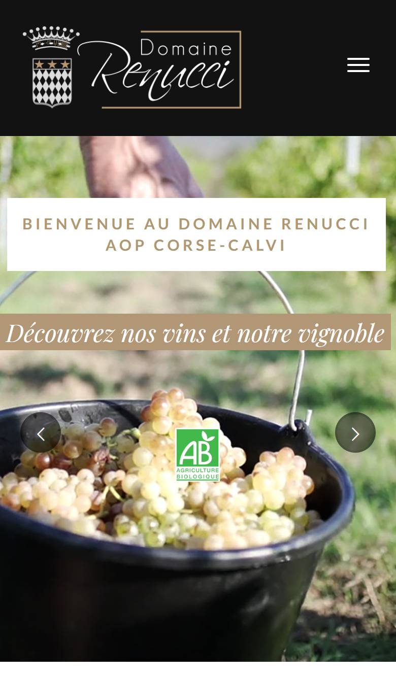 Site Domaine Renucci — vue mobile